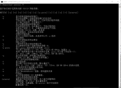 美國服務器Netstat命令的使用